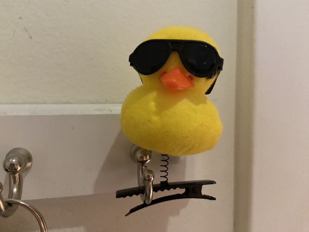 Small duck with sun glasses attached to a hair clip