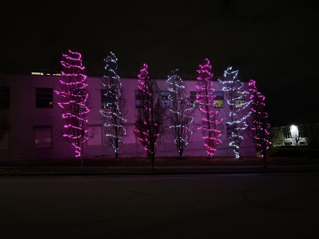 Tree lights at the BC Nurses' Union