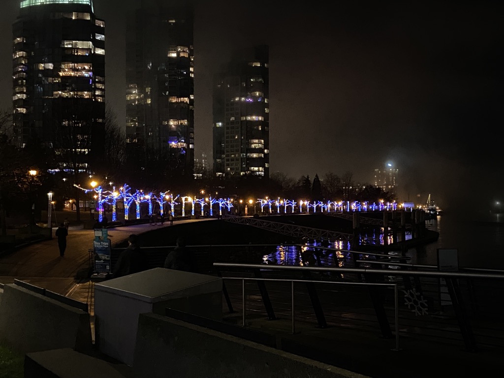 Cole Harbour tree lights along Seawall