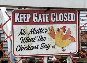 Sign on a gate that says: Keep Gate Closed No Matter What The Chickens Say